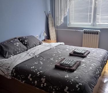 Pirot Apartment | Apartman Icić
