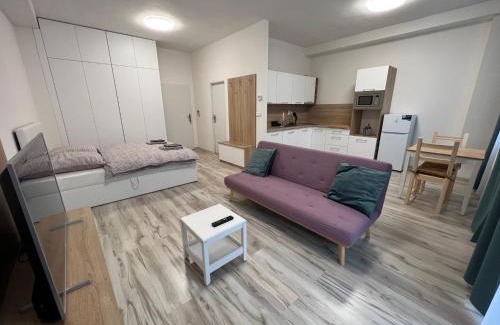 Liptovsky Mikulas Apartment | Apartman Liptov NP14