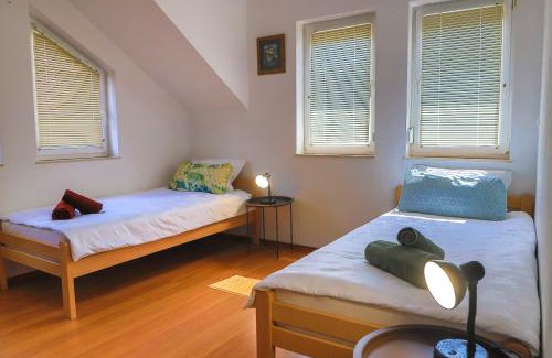 Mali Radic Apartment | APARTMAN NAAJ
