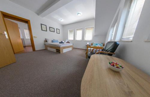 Mali Radic Apartment | APARTMAN NAAJ