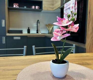 Novi Sad Apartment | Apartman NS FREE PARKING