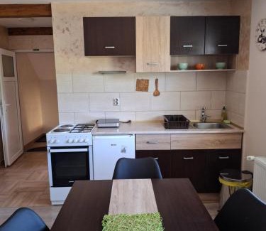 Mokra Gora Apartment | Apartman Petar