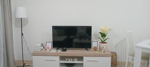 Banja Koviljaca Apartment | Apartman Sofisi