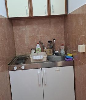 Velji Vinogradi Apartment | Apartman Vesna Budva 1