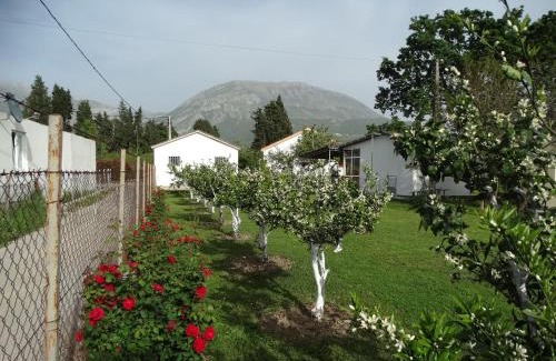 Bar Apartment | Apartman Zorana