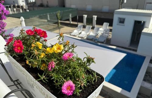 Bregvija Bed & Breakfast | Apartmani Hadžić