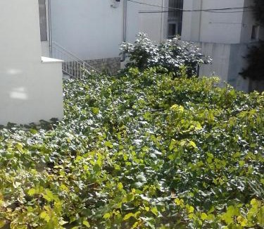 Selce Apartment | Apartmani Marić