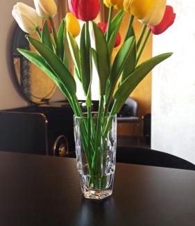 Banja Luka Apartment | Apartmani President V