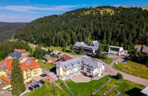 Feldberg Apartment | Apartment 104