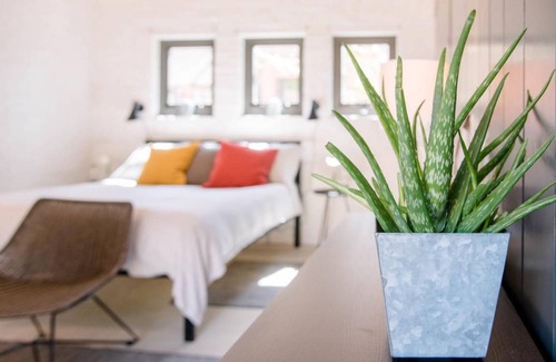 Sudbourne Apartment | Apartment ∙ 2 guests