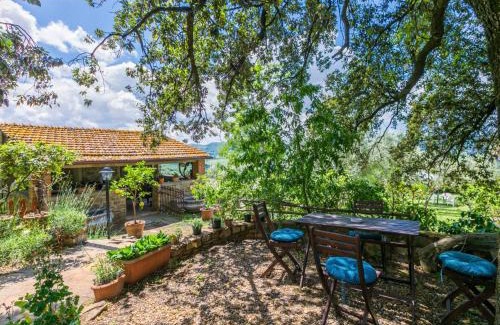Greve in Chianti Apartment | Apartment Antico Frantoio by Interhome