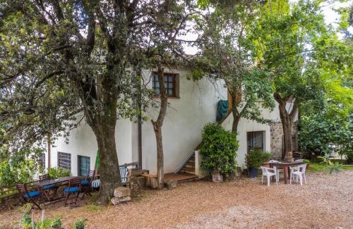 Greve in Chianti Apartment | Apartment Antico Frantoio by Interhome