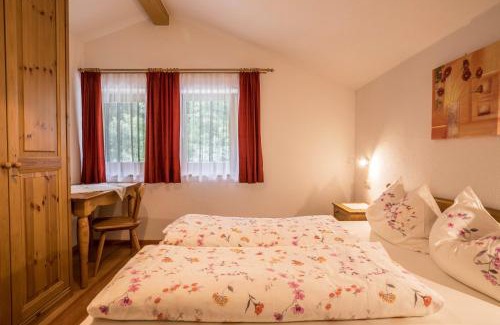 Caminata di Tures Apartment | Apartment Arnika - Mesnerhof
