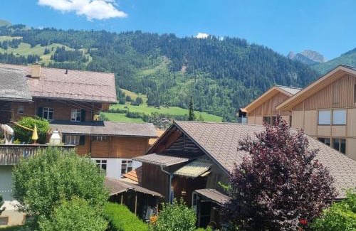 Zweisimmen Apartment | Apartment Bachhüsi by Interhome