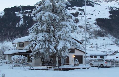 Engelberg Apartment | Apartment Chalet Eien by Interhome