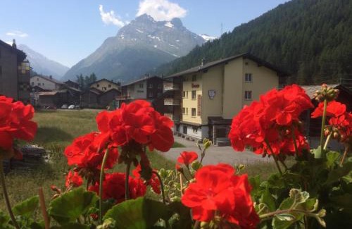 Saas Grund Apartment | Apartment Enzian by Interhome