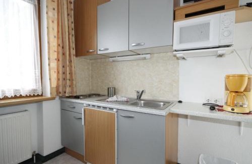 Laengenfeld Apartment | Apartment Falkner-1 by Interhome