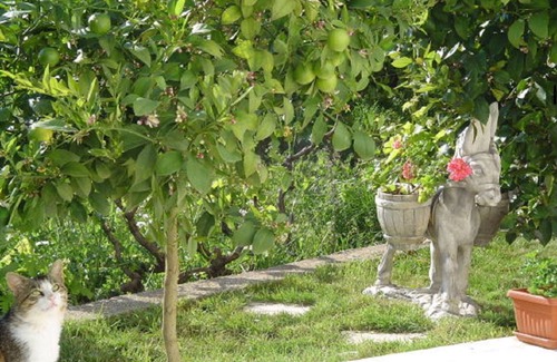 Seget Vranjica Apartment | APARTMENT FOR 2 PERSONS/1 BEDROOM/WITH GREAT VIEW