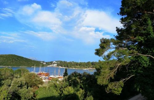 Cove Tri Zala (Zrnovo) Apartment | Apartment Markorcula