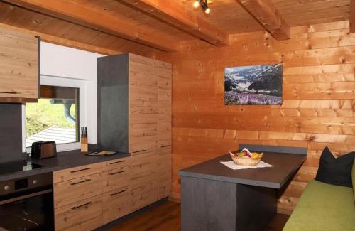 Mittersill Apartment | Apartment Motzerngut