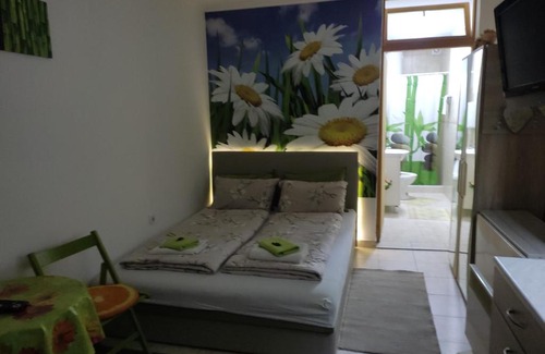 Nis Apartment | Apartment Nela