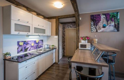 Liptovsky Mikulas Apartment | Apartment Provensal