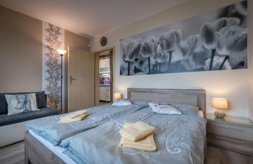 Liptovsky Mikulas Apartment | Apartment Provensal