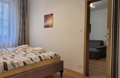 Karlovy Vary Apartment | Apartment Svahova