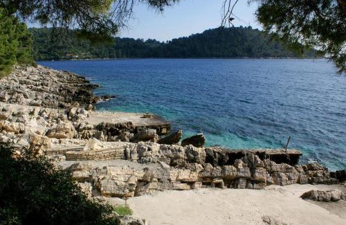 Brna Apartment | Apartments by the sea Brna, Korcula - 4468