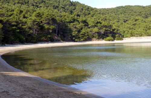 Kobas Apartment | Apartments by the sea Cove Blaca, Mljet - 10416