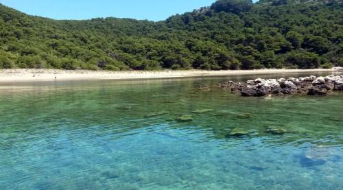 Kobas Apartment | Apartments by the sea Cove Blaca, Mljet - 10416