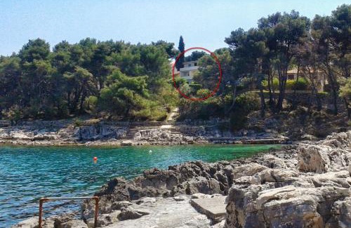 Island Hvar Apartment | Apartments by the sea Jelsa, Hvar - 4621