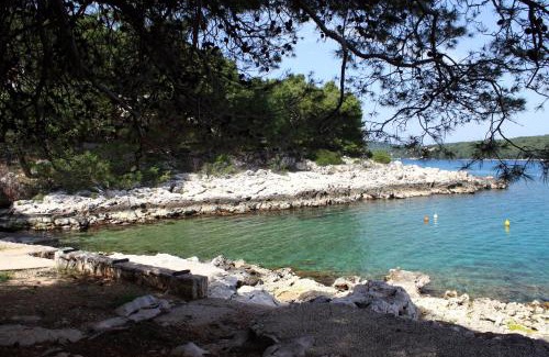 Island Hvar Apartment | Apartments by the sea Jelsa, Hvar - 4621