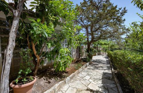 Zavala Apartment | Apartments by the sea Zavala, Hvar - 2061