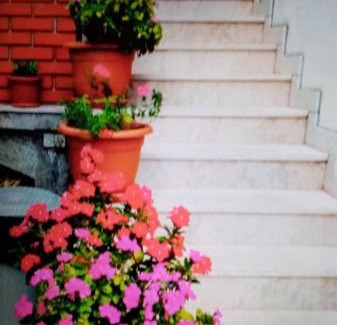 Celina Apartment | Apartments Cvita