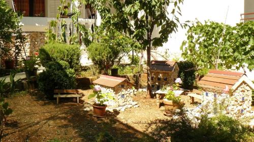 Rogoznica Apartment | Apartments Fran