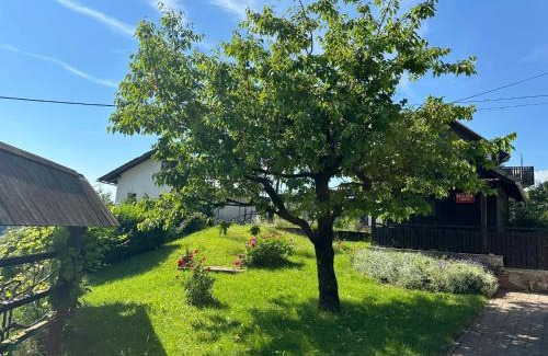 Bled Apartment | Apartments Franc
