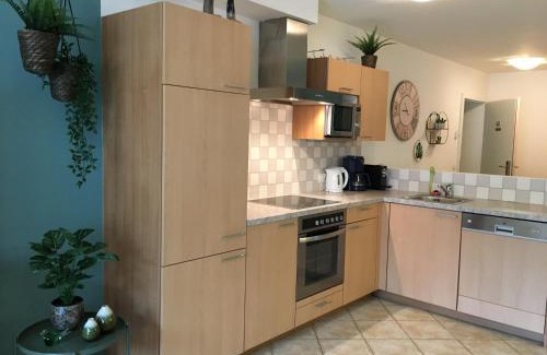 Wagrain Apartment | Apartments in Austria