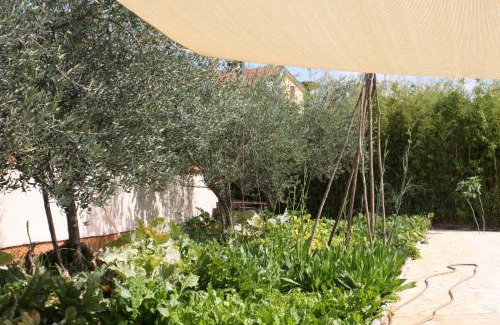 Umag Apartment | Apartments Morje