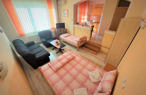 Soko Banja Apartment | Apartments Nikolić