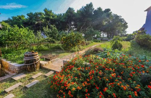 Zadar Apartment | Apartments & Rooms Hosana