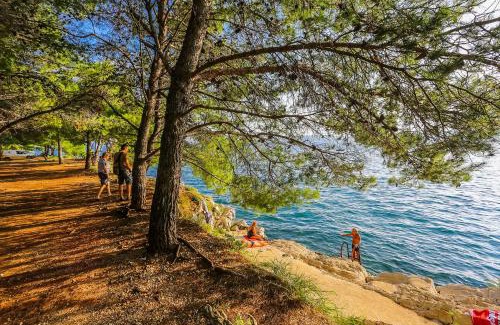 Zadar Apartment | Apartments & Rooms Hosana
