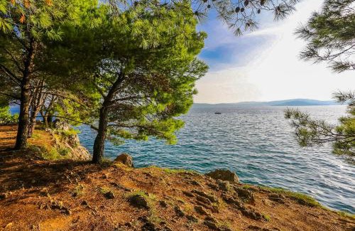 Zadar Apartment | Apartments & Rooms Hosana