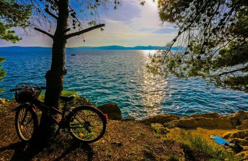 Zadar Apartment | Apartments & Rooms Hosana