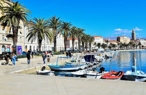 Split Apartment | Apartments Toma