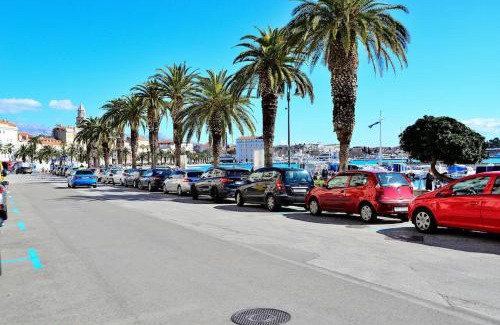 Split Apartment | Apartments Toma