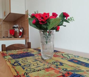 Vodice Apartment | Apartments Vidović