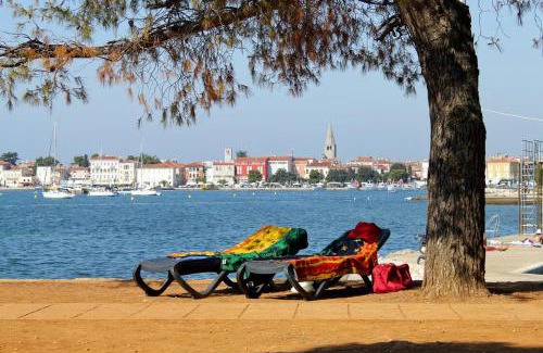 Zbandaj Apartment | Apartments with a swimming pool Zbandaj, Porec - 14154
