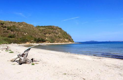Susak Apartment | Apartments with WiFi Susak, Losinj - 8047