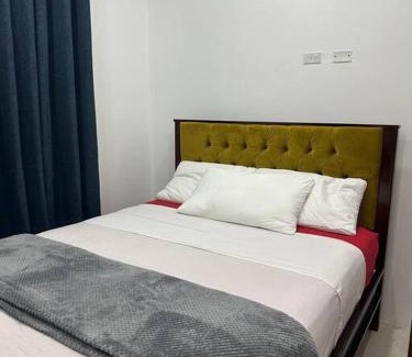 Georgetown Apartment | Apex apartment 4